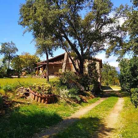 La Simona Casa Rural Perales del Puerto Kültér fotó