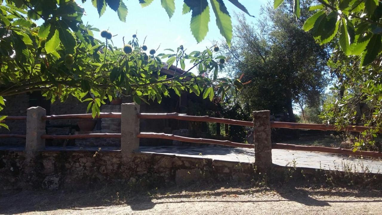 La Simona Casa Rural Perales del Puerto Kültér fotó