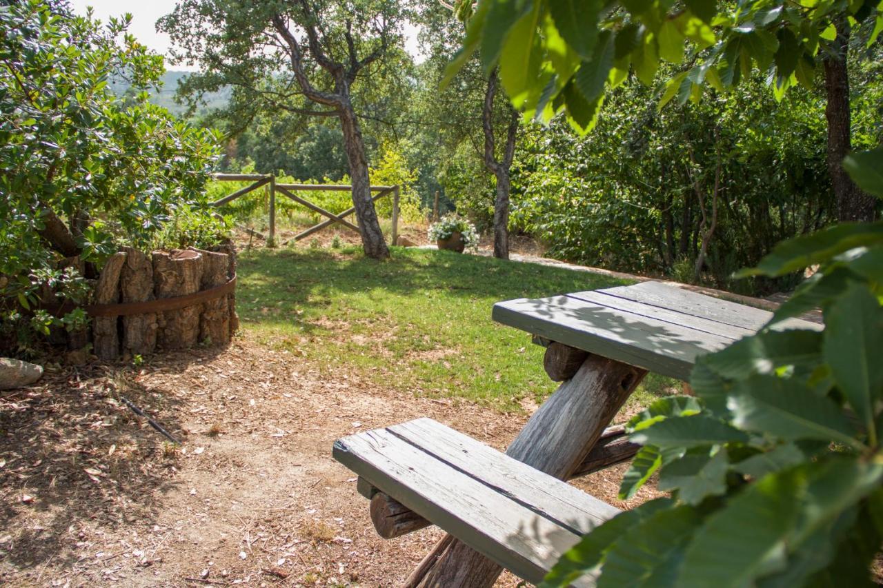 La Simona Casa Rural Perales del Puerto Kültér fotó