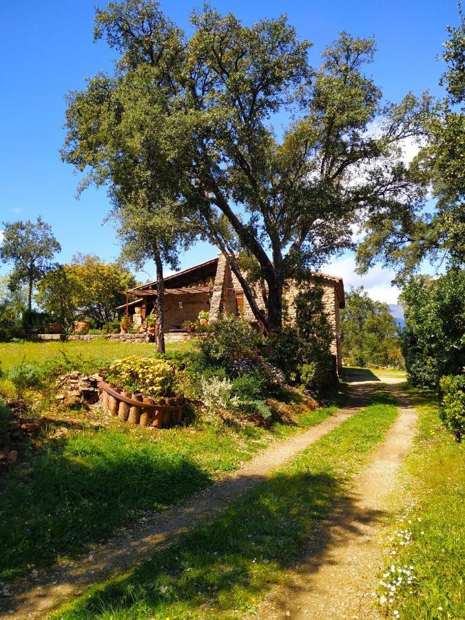 La Simona Casa Rural Perales del Puerto Kültér fotó