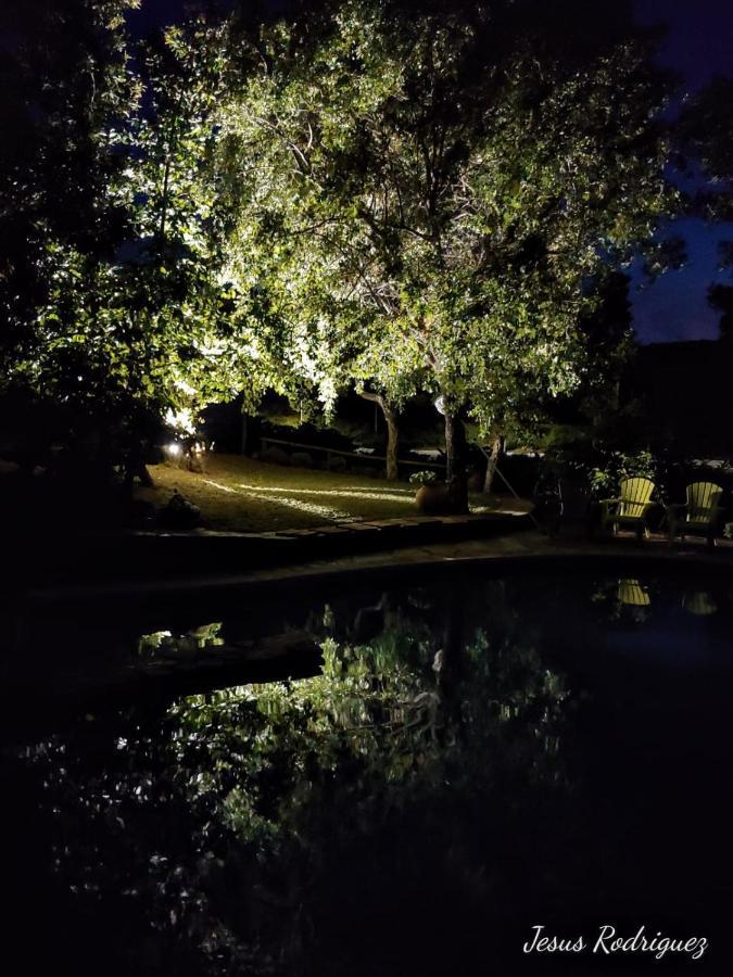 La Simona Casa Rural Perales del Puerto Kültér fotó