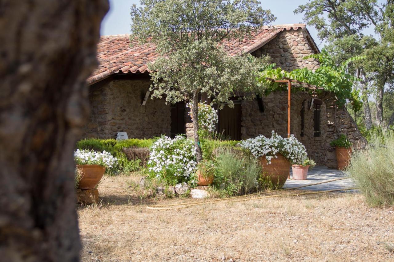 La Simona Casa Rural Perales del Puerto Kültér fotó