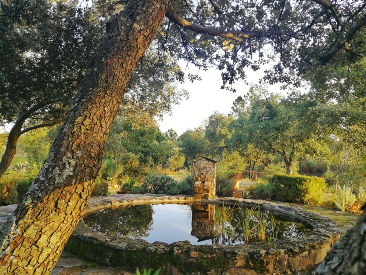 La Simona Casa Rural Perales del Puerto Kültér fotó