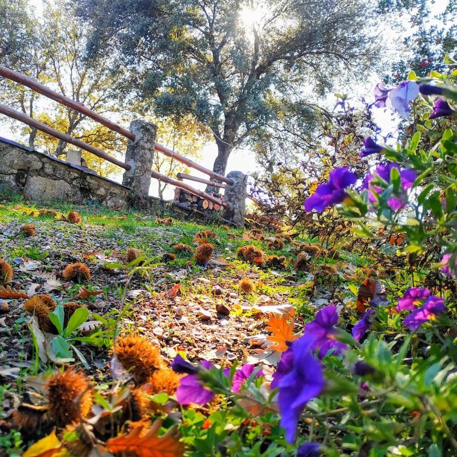 La Simona Casa Rural Perales del Puerto Kültér fotó