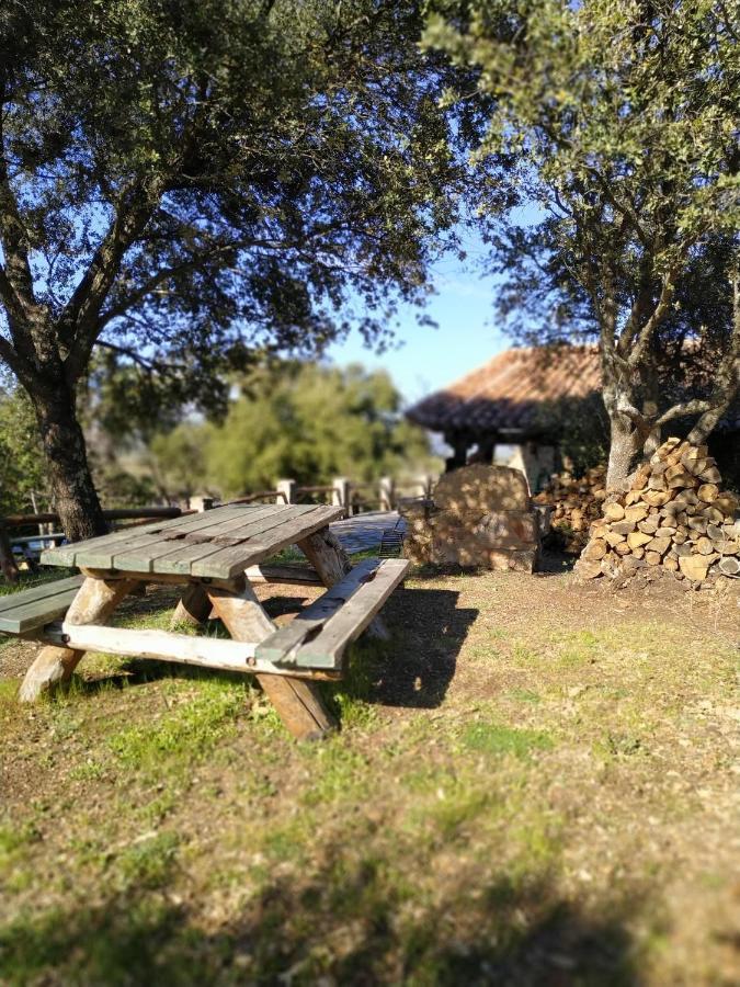 La Simona Casa Rural Perales del Puerto Kültér fotó