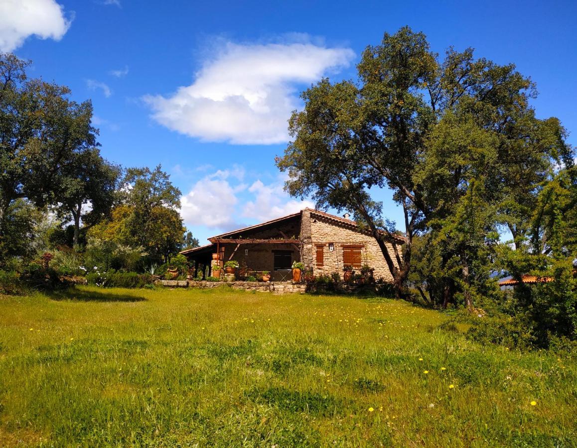 La Simona Casa Rural Perales del Puerto Kültér fotó