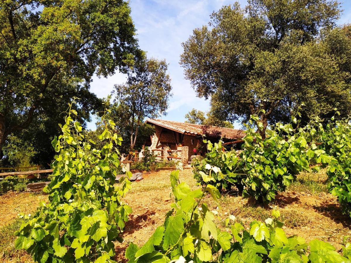 La Simona Casa Rural Perales del Puerto Kültér fotó